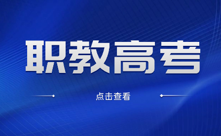 安徽合肥职教高考学校有什么专业