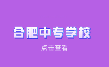 公办合肥中专学校都是免学费的吗？