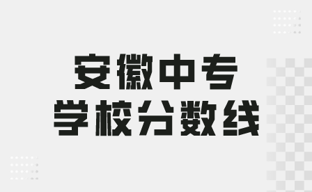 安徽中专学校分数线录取分数线多少？