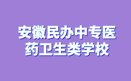 安徽民办中专医药卫生类学校排名前十