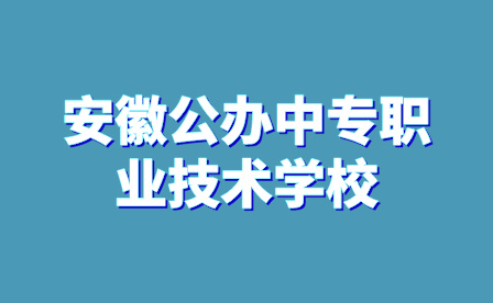 安徽公办中专职业技术学校