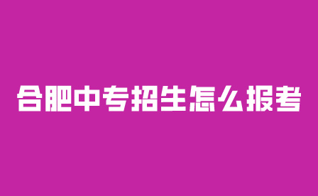 合肥中专招生怎么报考?