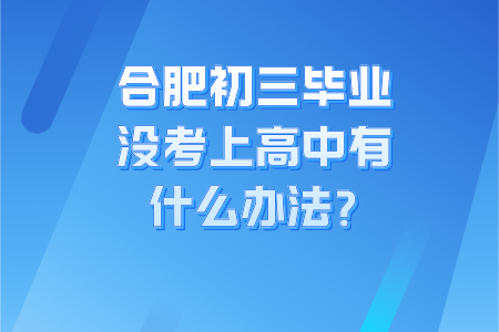 合肥初三毕业没考上高中有什么办法?