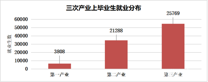 安徽中职就业