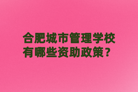 合肥城市管理学校有哪些资助政策？