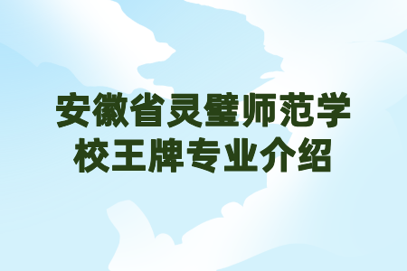 安徽省灵璧师范学校王牌专业介绍